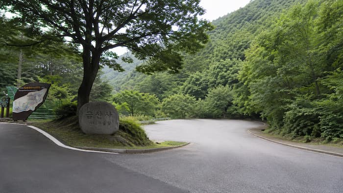 숲으로 이어지는 팔공산금화자연휴양림 진입도로