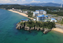 삼척해수욕장 1.2km 백사장 여름 피서지, 도심 가까운 가족 바다여행 넓은 백사장과 푸른 동해가 펼쳐진 삼척해수욕장 항공 전경