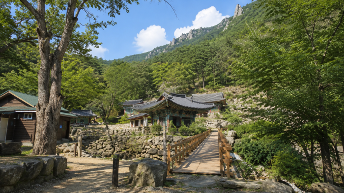 삼척 천은사와 쉰움산 등산로 입구