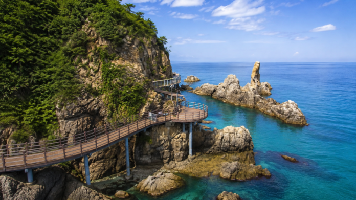 samcheok-chogok-yonggul-chotdaebawi-coastal-trail 삼척 초곡용굴촛대바위길 절벽 데크와 촛대바위