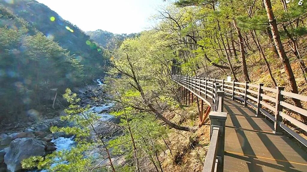 산청 대원사계곡길 방장산교의 여름 쿨링포그