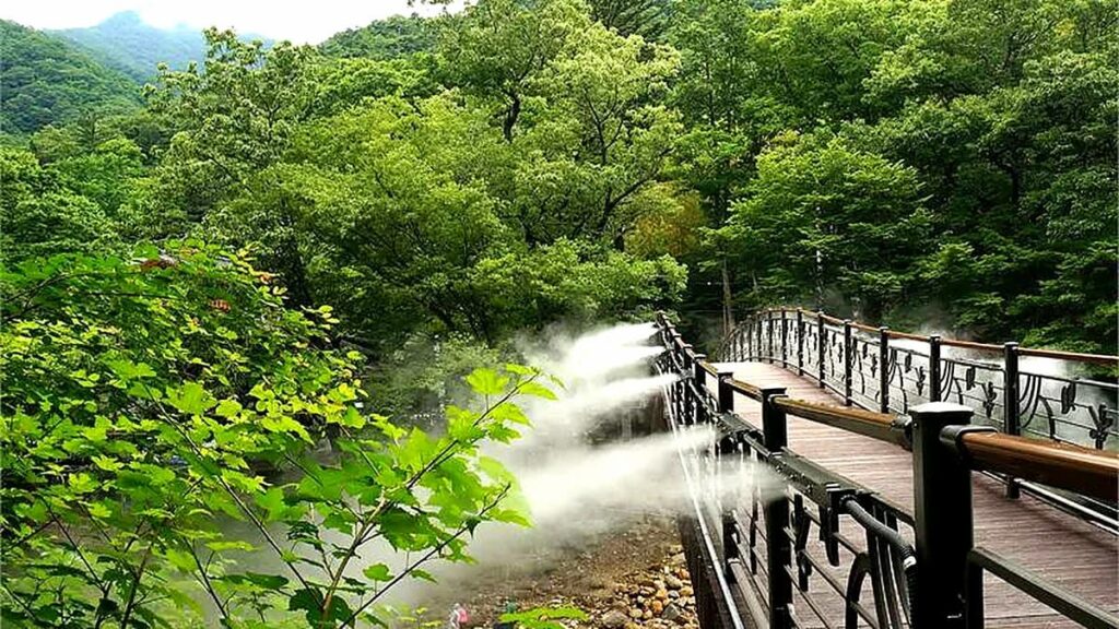 지리산 대원사계곡길에서 만나는 대원사의 여름 경내