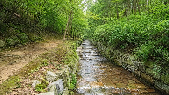 산청 전 구형왕릉 주변 숲과 계류