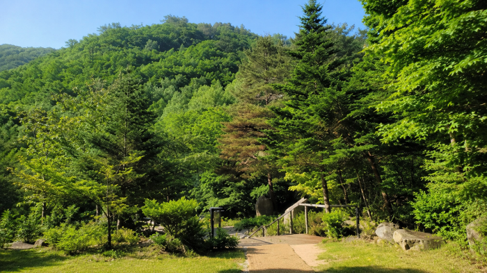 산음 치유의 숲 돌탑과 숲길