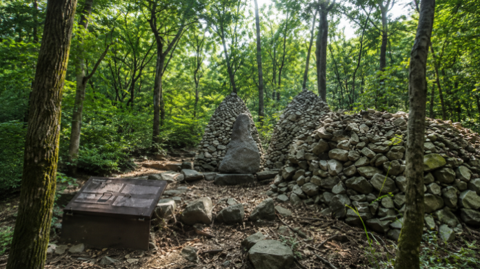 saneum-recreation-forest-summer-view 양평 산음자연휴양림 봉미산 자락의 울창한 여름 숲