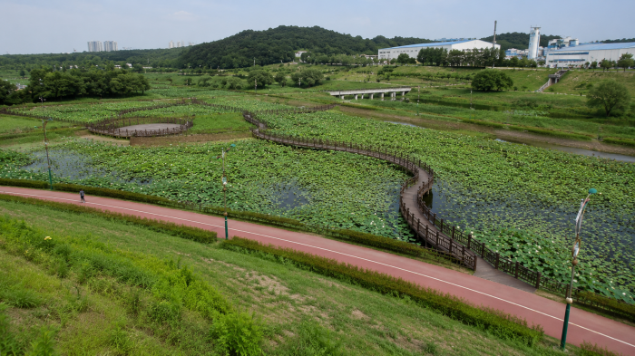 세종 조천연꽃공원 연못과 수변 산책로 전경