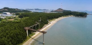 서천 장항송림자연휴양림 해송숲과 장항스카이워크, 해안이 이어지는 항공 전경
