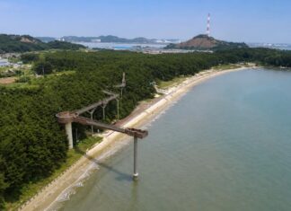 서천 장항송림자연휴양림 해송숲과 장항스카이워크, 해안이 이어지는 항공 전경