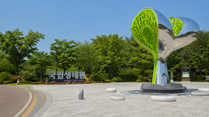 개구리와 연꽃 모양 놀이시설이 설치된 국립생태원 생태놀이터