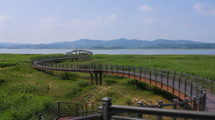 서천 신성리 갈대밭과 금강을 바라보는 강변 데크