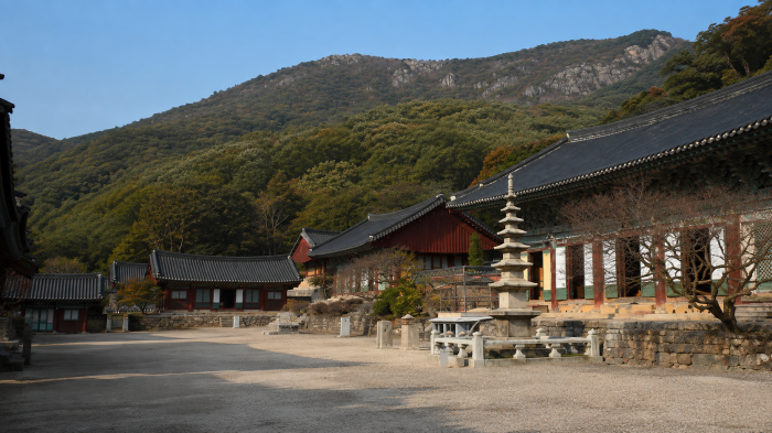 선운산을 배경으로 펼쳐진 고창 선운사 경내와 전각