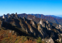 설악산 공룡능선, 19km 암릉을 넘는 국내 최상급 종주 코스 가을 암봉과 설악산 주능선이 펼쳐진 공룡능선 파노라마