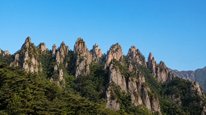 울창한 숲 위로 날카로운 암봉이 이어지는 설악산 공룡능선