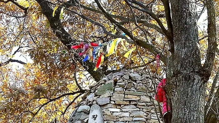 돌탑에 황금산 156m 표지석이 설치된 서산 황금산 정상
