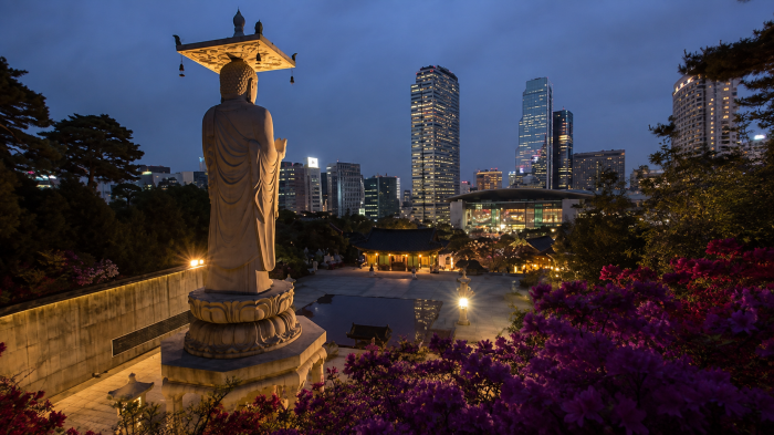서울 봉은사 미륵대불과 강남 야경