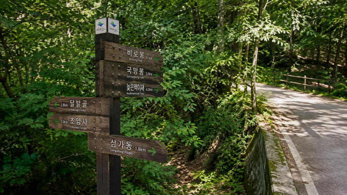 소백산 여름 능선과 전망 공간 전경