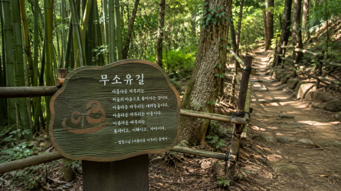 송광사 불일암 무소유길 안내판과 숲길