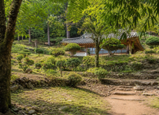 송광사 경내를 다 봤다면 길은 그때부터 시작된다…불일암까지 이어지는 법정스님 무소유길 순천 송광사 불일암으로 이어지는 무소유길 대숲