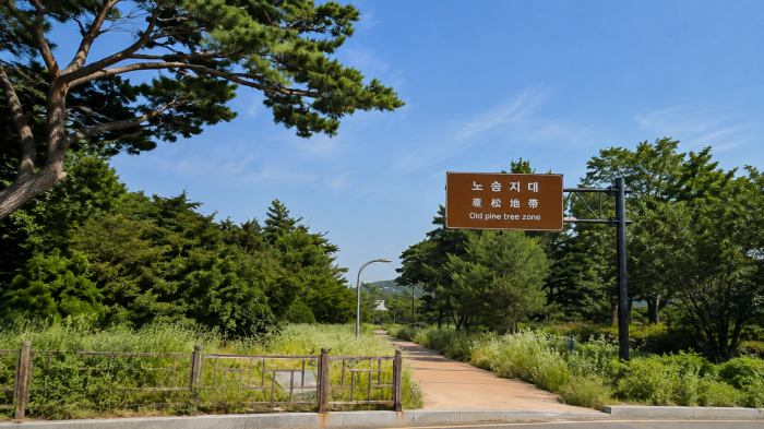 수원 노송지대 표지판과 산책로 입구