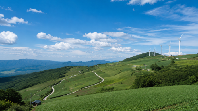 taebaek-maebongsan-windy-hill-cabbage-fields 태백 매봉산 바람의 언덕 고랭지 배추밭과 풍력발전기 전경