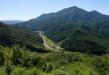 울창한 숲과 계곡이 이어지는 태백산국립공원 여름 전경