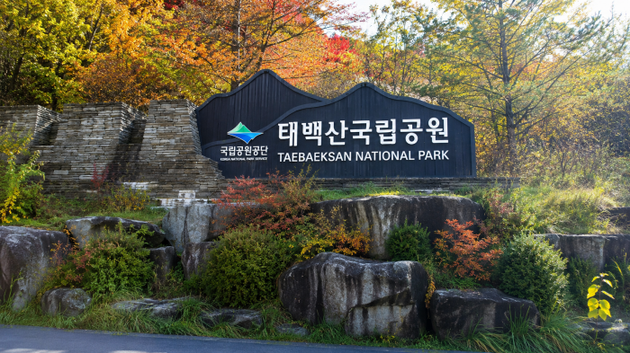 단풍과 숲 사이에 설치된 태백산국립공원 입구 표지