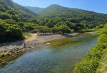 울산 배내골 산돼지마을, 계곡 물놀이와 흑돼지 바비큐를 즐기는 당일치기 코스 울산 배내골 산돼지마을 앞 맑은 계곡과 숲