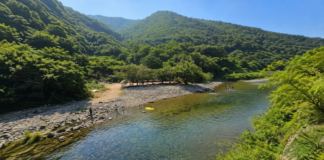 울산 배내골 산돼지마을 앞 맑은 계곡과 숲