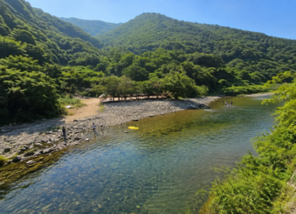 울산 배내골 산돼지마을, 계곡 물놀이와 흑돼지 바비큐를 즐기는 당일치기 코스 울산 배내골 산돼지마을 앞 맑은 계곡과 숲