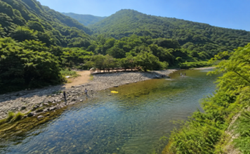울산 배내골 산돼지마을 앞 맑은 계곡과 숲