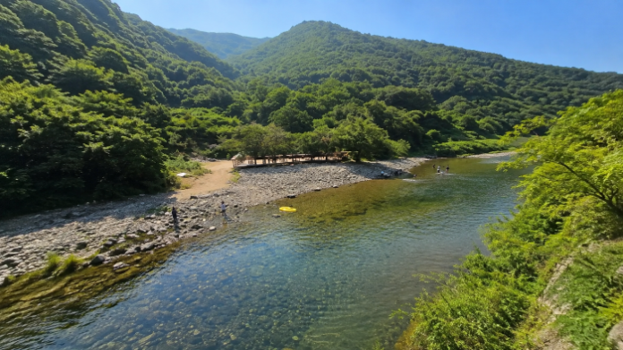 울산 배내골 산돼지마을 앞 맑은 계곡과 숲