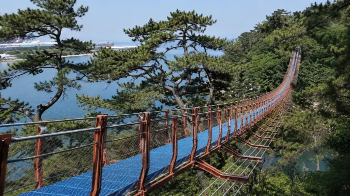 울산 대왕암공원 해안 산책로를 둘러싼 울창한 소나무 숲