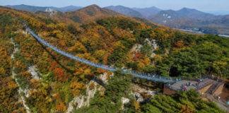 원주 소금산 그랜드밸리, 972m 케이블카로 오르는 출렁다리 절벽 코스 원주 소금산 그랜드밸리 출렁다리와 가을 산세