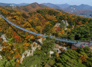 원주 소금산 그랜드밸리, 972m 케이블카로 오르는 출렁다리 절벽 코스 원주 소금산 그랜드밸리 출렁다리와 가을 산세