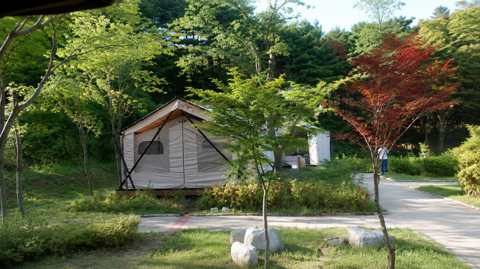 양양 송이밸리자연휴양림 숲속 야영장과 숙박시설