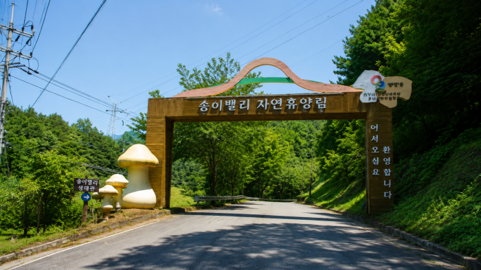 양양 송이밸리자연휴양림 입구