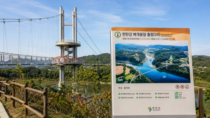 연천 베개용암 출렁다리와 한탄강 전망 공간