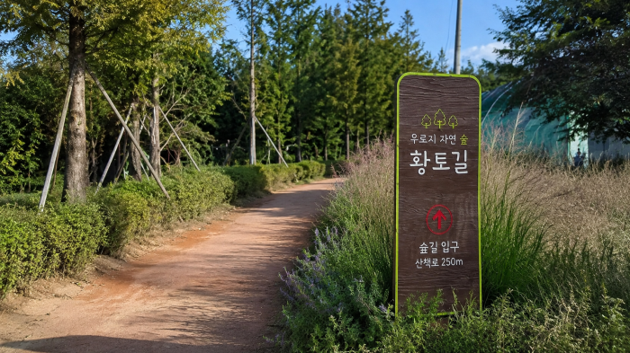영천 우로지자연숲 산책길 입구