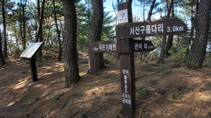영덕 블루로드 관어대 숲길 이정표