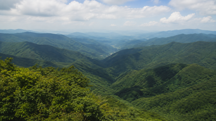 영동 민주지산과 물한계곡 주변 산악 풍경