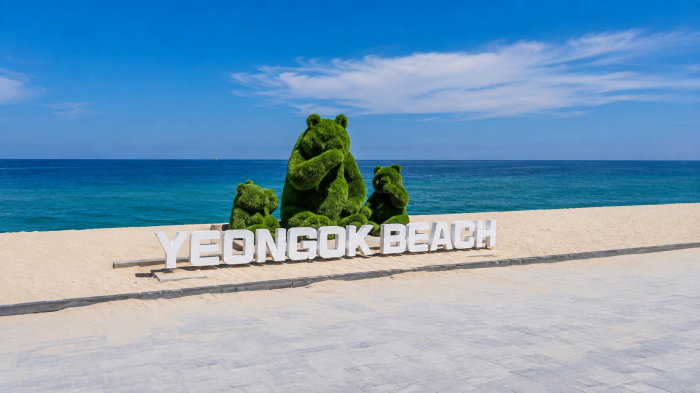 강릉 연곡해변 바다 앞 포토존과 해변 풍경