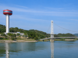 예산 예당호 전망대와 출렁다리 전경