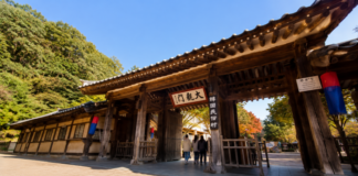 용인 한국민속촌 대관문과 전통 건축