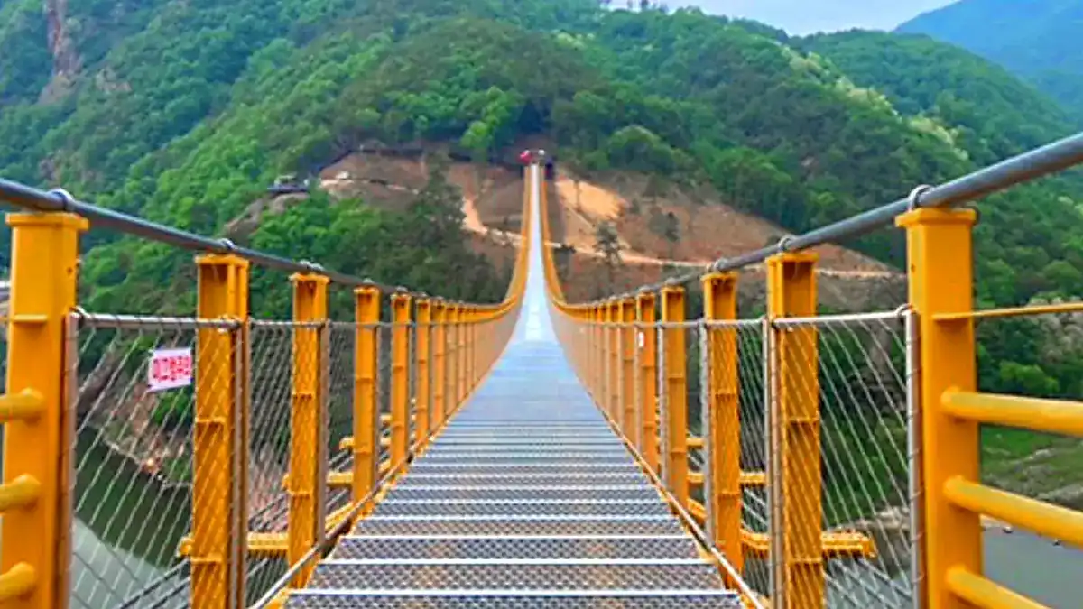 월영산과 부엉산 사이로 길게 이어진 275m 출렁다리 보행로