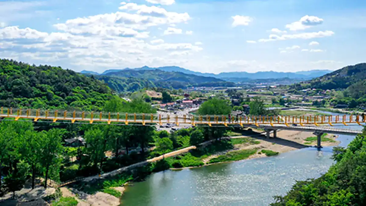 금강과 산줄기 사이를 가로지르는 월영산 출렁다리 전체 모습