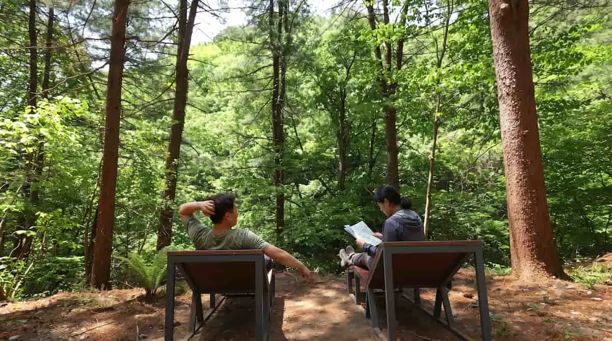 울창한 연인산 숲속 의자에 앉아 쉬는 두 명의 탐방객