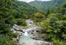 “절대 만만하게 보지 마라”… 폭우 딛고 1년 만에 빗장 푼 연인산 용추계곡의 진짜 얼굴 연인산의 울창한 산림과 기암괴석 사이로 흐르는 용추계곡 전경