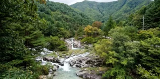 “절대 만만하게 보지 마라”… 폭우 딛고 1년 만에 빗장 푼 연인산 용추계곡의 진짜 얼굴 연인산의 울창한 산림과 기암괴석 사이로 흐르는 용추계곡 전경