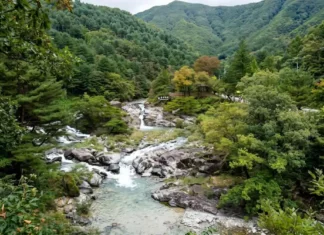“절대 만만하게 보지 마라”… 폭우 딛고 1년 만에 빗장 푼 연인산 용추계곡의 진짜 얼굴 연인산의 울창한 산림과 기암괴석 사이로 흐르는 용추계곡 전경
