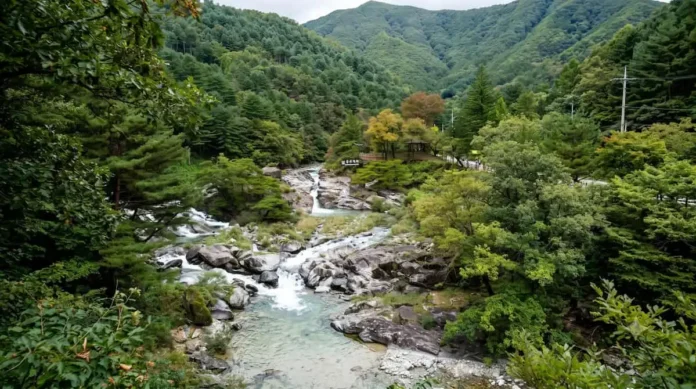 연인산 용추계곡 전경 연인산의 울창한 산림과 기암괴석 사이로 흐르는 용추계곡 전경